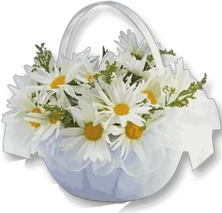 🌹 flowers, daisies, basket, floral, bouquet, white, nature, spring whatsapp sticker