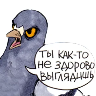 😢 Ты как-то не здорово выглядишь pigeon, oiseau, malade, dessin animé whatsapp sticker