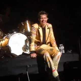 🎵 Harry Styles Harry Styles, singer, performer, celebrity, concert, musician telegram sticker