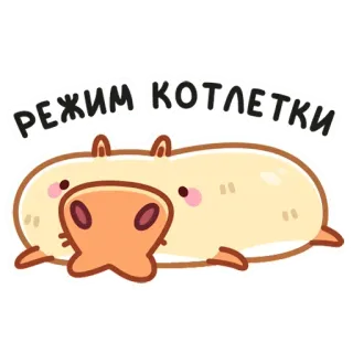 🐽 РЕЖИМ КОТЛЕТКИ капибара, животное, милый, смешной, мультфильм telegram sticker