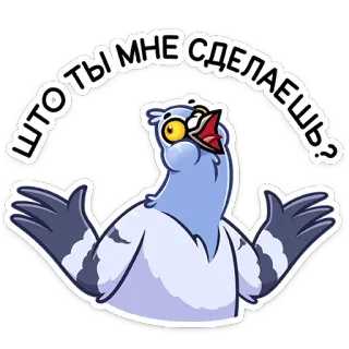 🤷‍♀️ ЧТО ТЫ МНЕ СДЕЛАЕШЬ? pigeon, bird, cartoon, question, aggressive, sticker telegram sticker