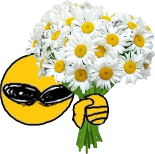 💐 Emoji, Flores, Legal, Óculos de sol, Buquê, Margaridas whatsapp sticker