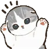 🐱