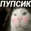๐