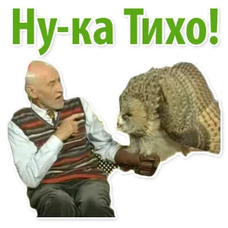 🦉 Ну-ка Тихо! นกฮูก, ผู้ชาย, รัสเซีย, สติกเกอร์, ตลก whatsapp sticker