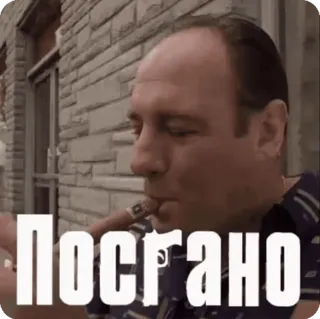 Memeblog GIF by @amirov_df telegram stickers