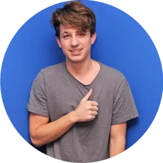 👍 Charlie Puth Charlie Puth, singer, thumbs up, musician, celebrity telegram sticker