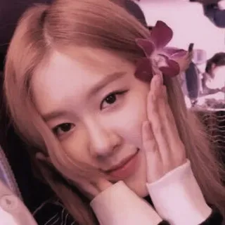 🥺 Rose человек, женщина, знаменитость, kpop, певица, rose, blackpink whatsapp sticker