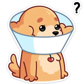 ❓ Hund, Kegel, süß, Tier, Haustier, Frage, Aufkleber telegram sticker