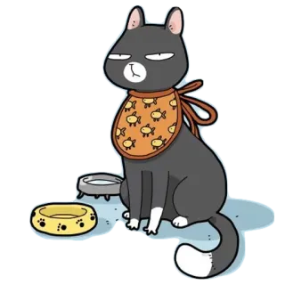 🥘 gato, animal, animal de estimação, desenho animado, engraçado, animal doméstico whatsapp sticker