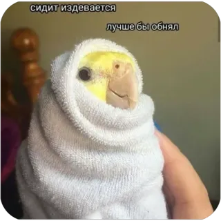 😢 сидит издевается
лучше бы обнял bird, cockatiel, towel, cute, funny telegram sticker
