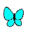 🦋