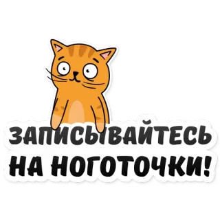 💅 Записывайтесь на ноготочки! gatto, unghie, adesivo, russo, manicure, gatto arancione telegram sticker