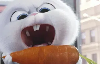 🍭 Snowball The Secret Life of Pets Hase, Kaninchen, Karotte, süß, Tier, animiert, Pets telegram sticker