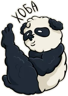 😎 ХОБА panda, animal, cute, cartoon, sticker telegram sticker