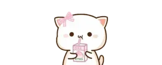 🥤 MILK gatto, kawaii, latte, cartone animato whatsapp sticker