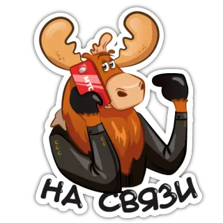 Losiliy whatsapp stickers