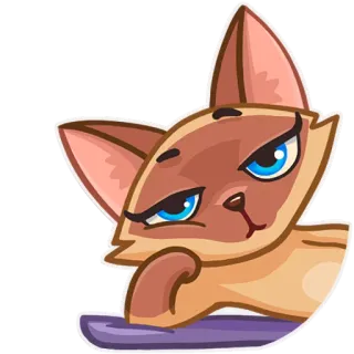 🙄 cat, cute, sticker, animal telegram sticker