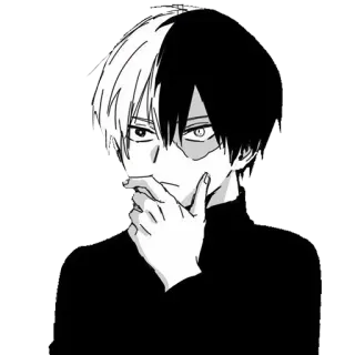 🤔 Shoto Todoroki My Hero Academia Anime, Manga, Shoto Todoroki, My Hero Academia whatsapp sticker