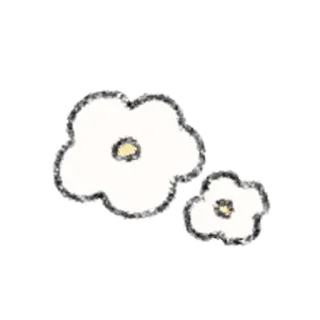 🧃 花, 白色, 植物, 自然 whatsapp sticker