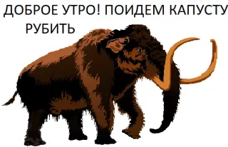 ❄️ ДОБРОЕ УТРО! ПОЙДЕМ КАПУСТУ РУБИТЬ 猛犸, 早上好, 卷心菜, 切碎, 俄语 telegram sticker