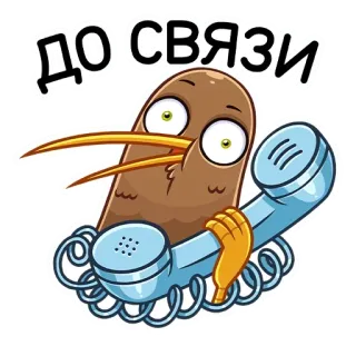 🤙 ДО СВЯЗИ kiwi, burung, telepon, komunikasi, selamat tinggal, panggilan, kartun telegram sticker