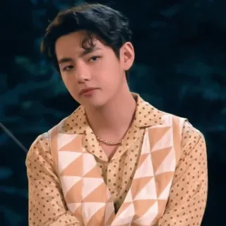 ✨ V Idole K-Pop, Chanteur, Musicien, V, BTS telegram sticker