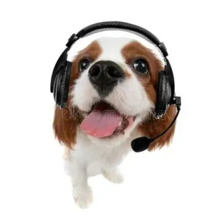 🎧 chien, casque, animal, mignon, centre d'appels, support, service client, chiot telegram sticker