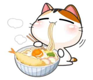 🍜 gato, udon, macarrão, comida, fofo, comendo, kawaii telegram sticker