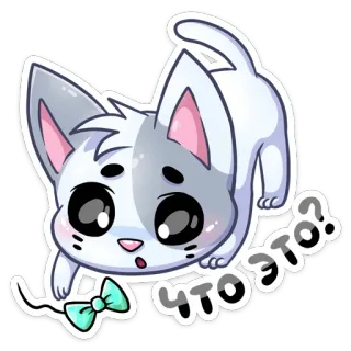 🙂 ЧТО ЭТО? kot, słodki, kociak, pytanie, naklejka, rosyjski whatsapp sticker