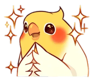 😄 pássaro, calopsita, fofo, brilhos, feliz telegram sticker
