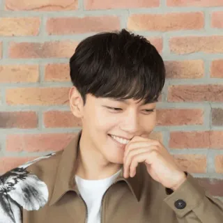 ✨️ portrait, man, person, smile, happy, Korean, asian telegram sticker