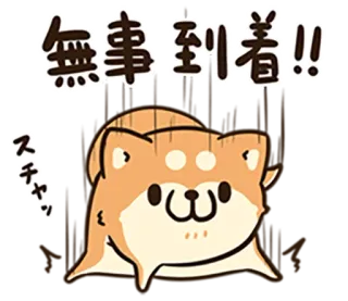 🤜 無事到着!! Hund, Shiba Inu, Tier, süß, japanisch, Text, Sticker telegram sticker