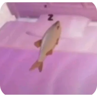 😴 z whatsapp sticker