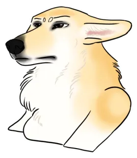 😑 anjing, corgi, hewan, peliharaan, potret, ilustrasi telegram sticker