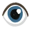 👁