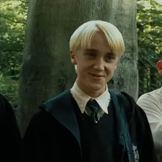 🐍 Draco Malfoy Harry Potter Draco Malfoy, Harry Potter, personaje, mago, Slytherin, magia whatsapp sticker