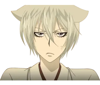 🙁 Tomoe Kamisama Kiss Anime, Volpe, Demone, Manga, Kitsune telegram sticker