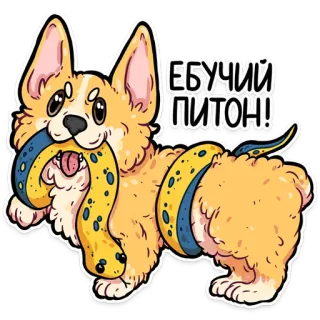 🐍 ЕБУЧИЙ ПИТОН! anjing, corgi, piton, menyinggung telegram sticker