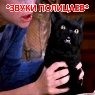 😡 *ЗВУКИ ПОЛИЦАЕВ* 猫, ロシア, 警察, ミーム telegram sticker