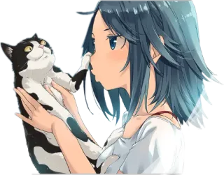❄ anime girl, cat, pet, black and white cat, girl with cat, cute, kawaii telegram sticker