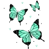 🦋