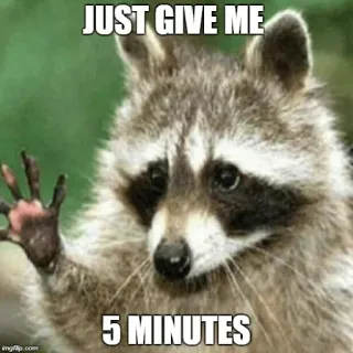 🤚 JUST GIVE ME 5 MINUTES mapache, animal, meme, humor, tiempo whatsapp sticker