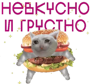 @otkryt_o4ka от агентства Новые Новые Медиа telegram stickers