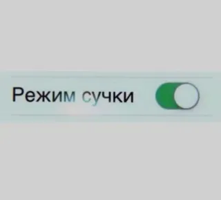😄 Режим сучки telegram sticker