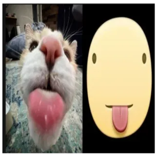 😋 猫, 表情符号, 动物, 舌头, 搞笑, 可爱, 表情包 telegram sticker