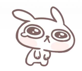 🎀 thỏ, dễ thương, động vật, hoạt hình, nhãn dán, kawaii telegram sticker
