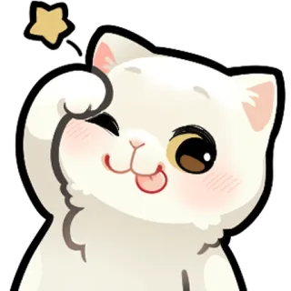 🤪 white cat telegram sticker