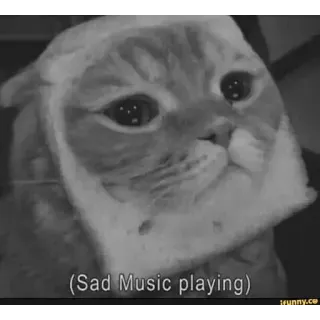 🐱 Bread Cat (Sad Music playing) telegram sticker