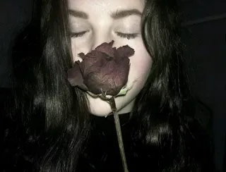 🥀 vrouw, roos, bloem, schoonheid, donker, esthetisch telegram sticker